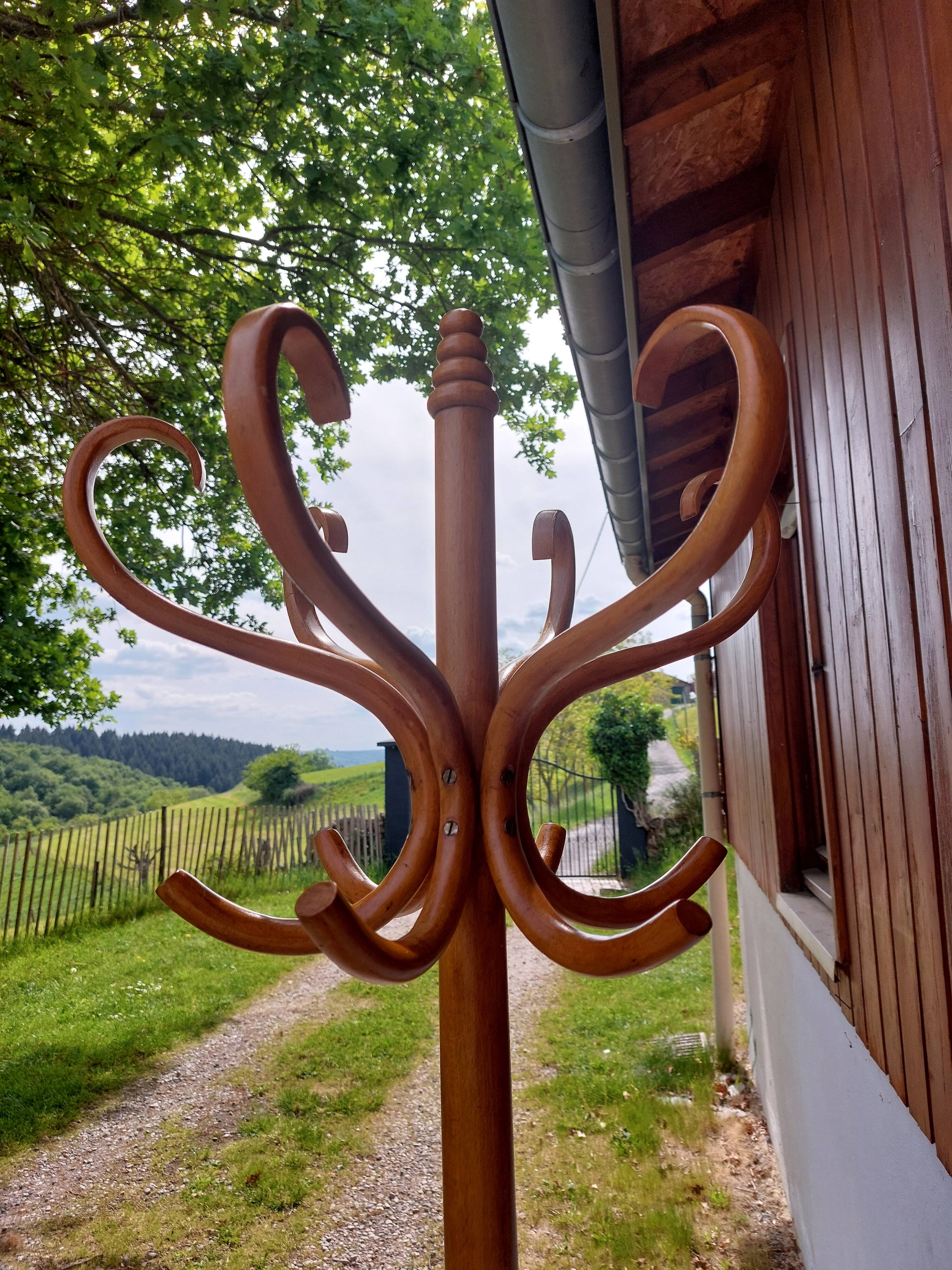 coat rack parrot, solid wood