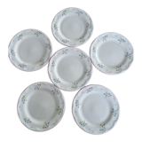 Ensemble de 6 assiettes à dessert fleuris