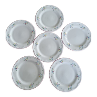 Ensemble de 6 assiettes à dessert fleuris