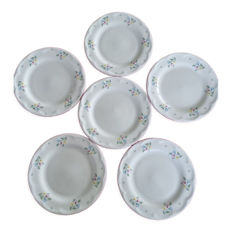 Set of 6 floral dessert plates