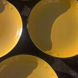 Digoin Sarreguemines Plates