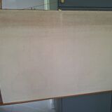 Zoological poster, cell of the animal body