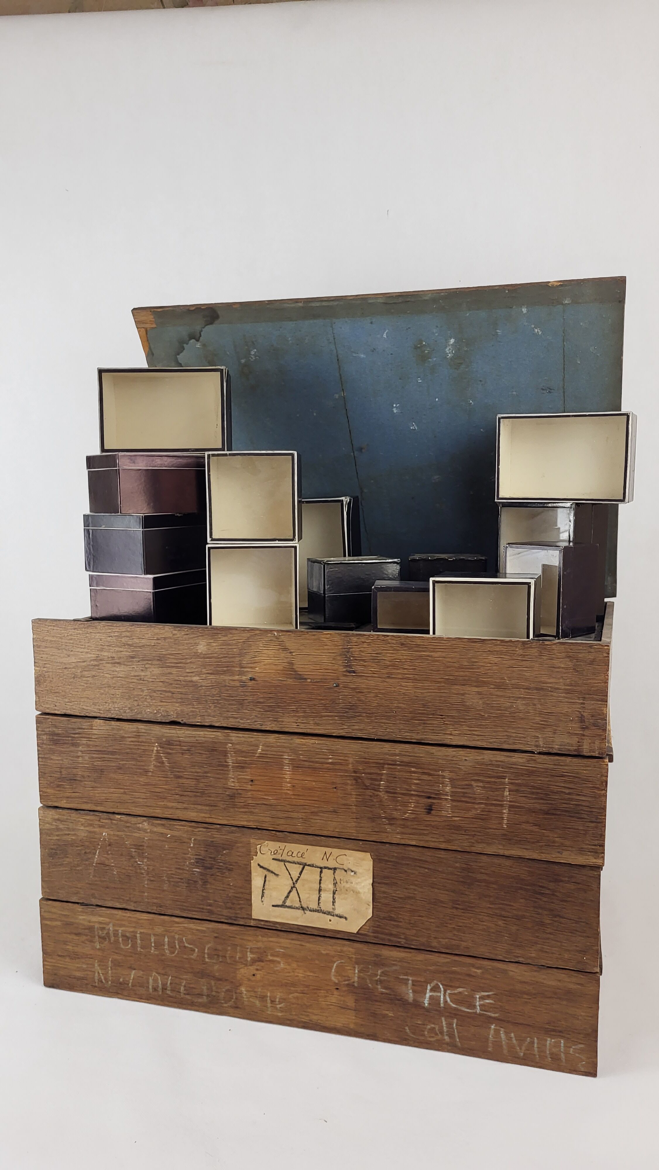 Individual box Entomology Cardboard / Glass