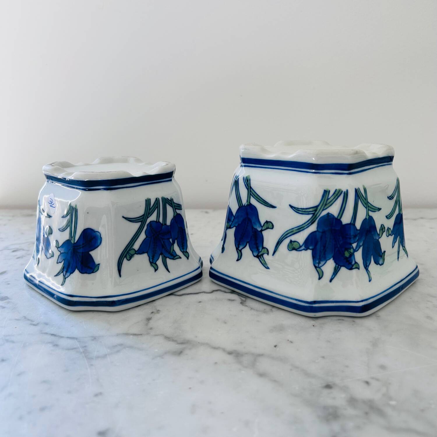 Duo of decorative plant pots with blue irises.