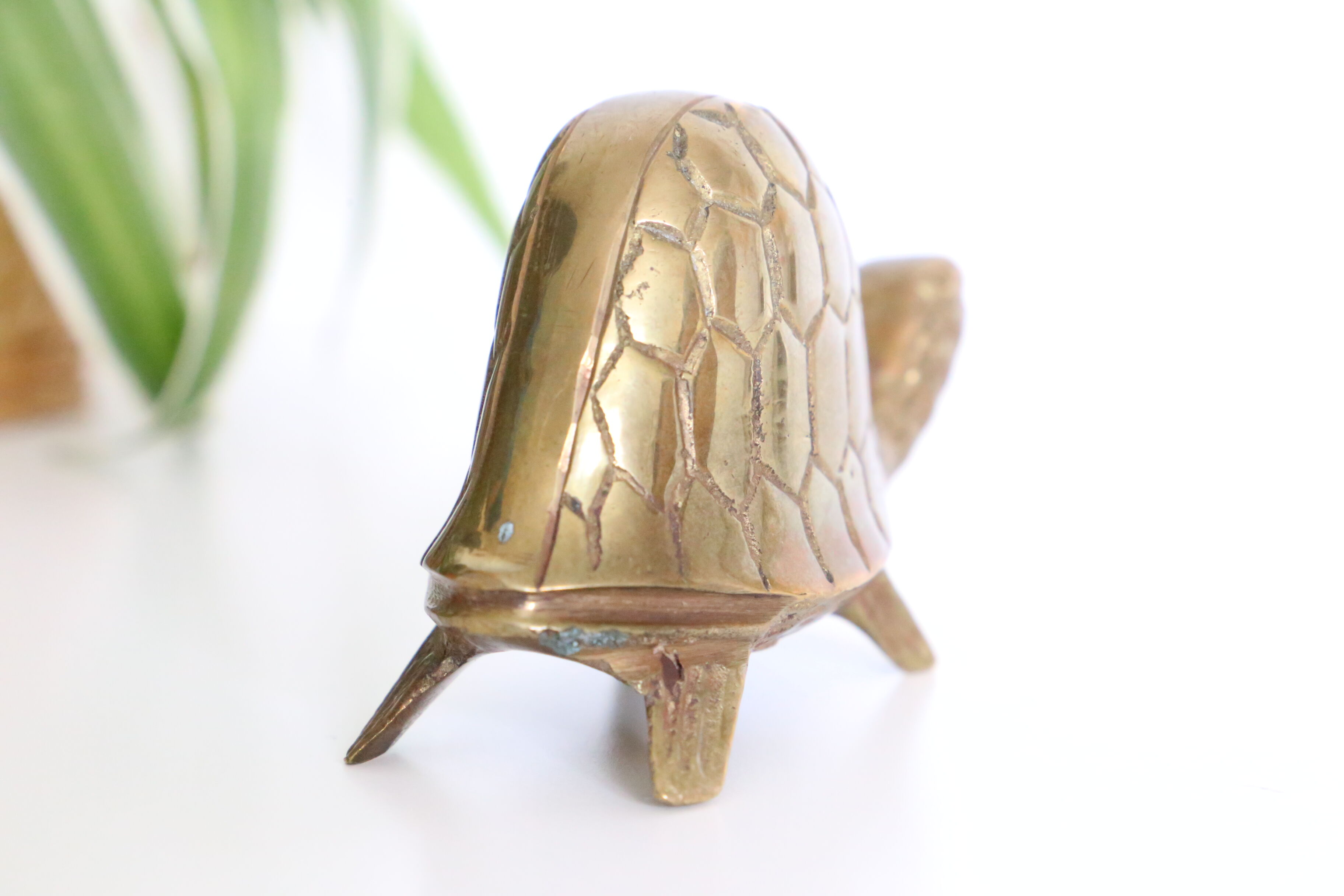 Brass turtle
