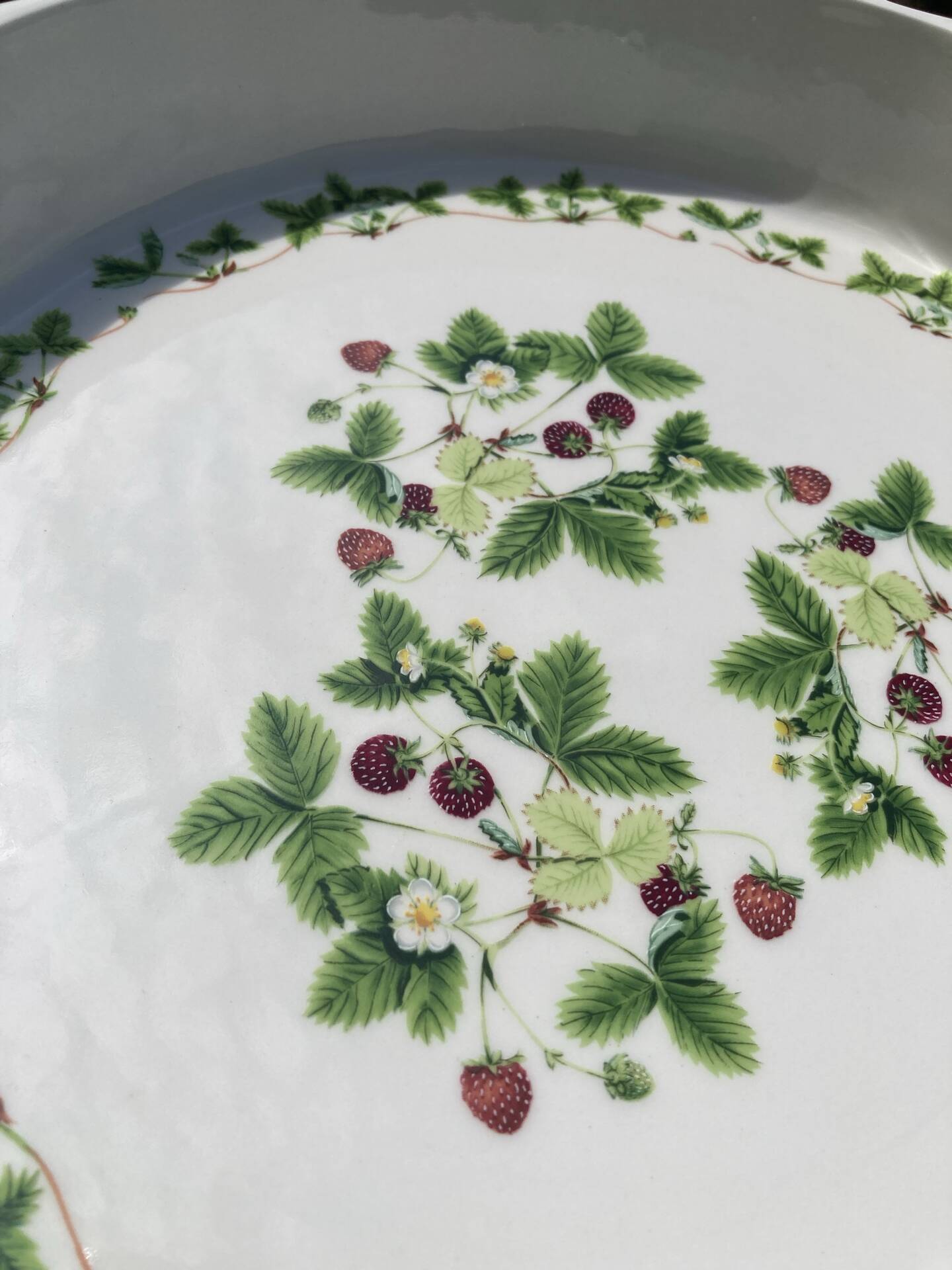 Flan mould Susan Williams-Ellis botanical patterns