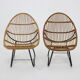 Paire de fauteuils en rotin Alan Fuchs par Uluv  Tchécoslovaquie années 1960