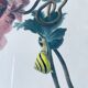 Ancient lithograph framed flower and snail