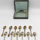 Housewife of 12 small spoons in silver metal from ruolz