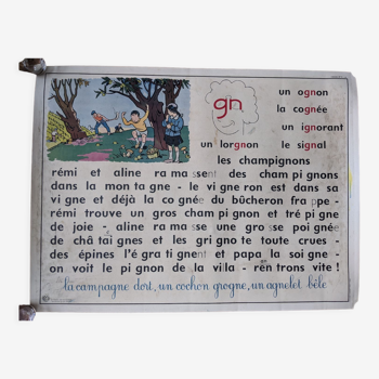 GN/IF Double-sided School Dictation Poster