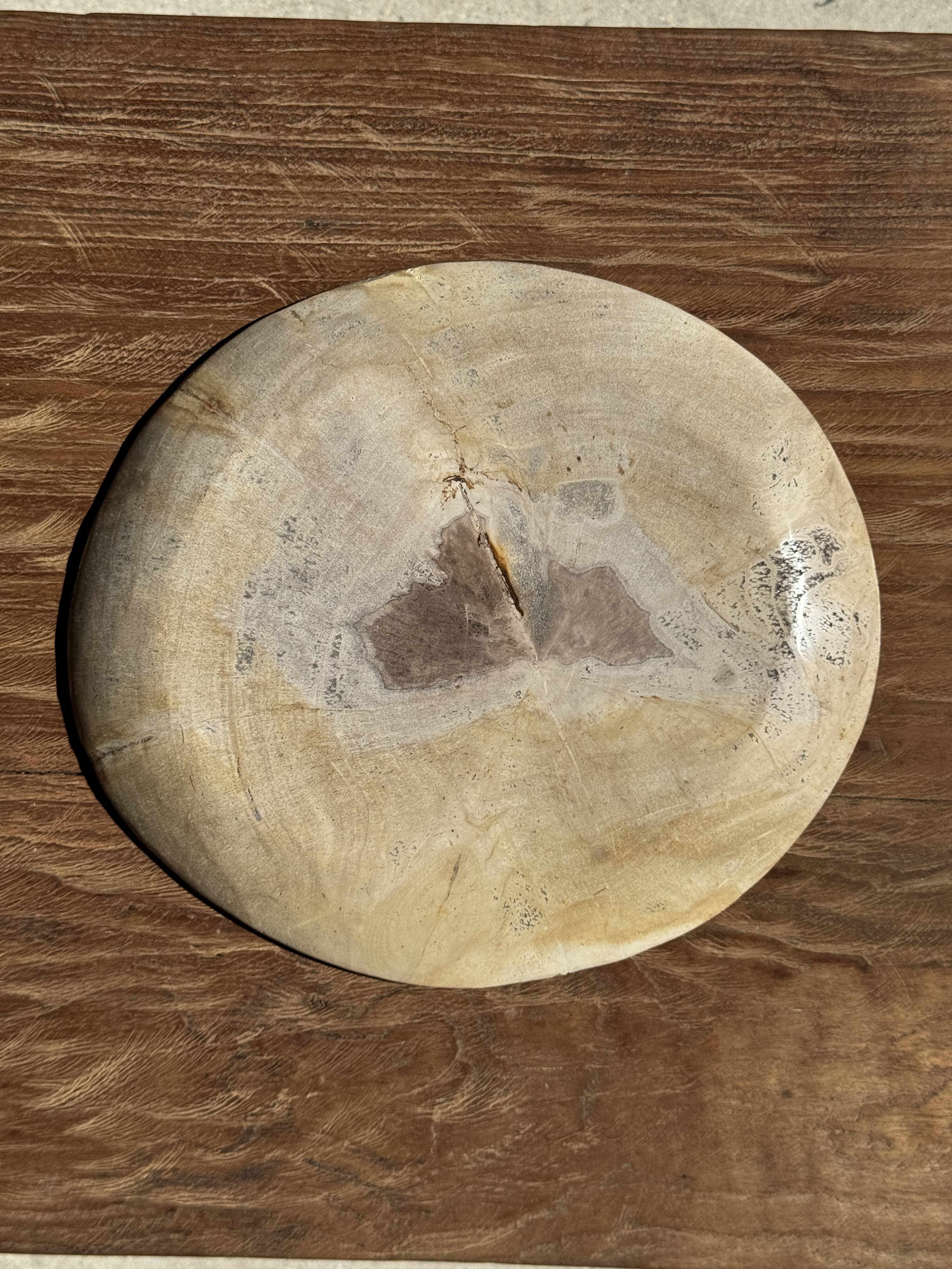 Petrified wood catchall or dish, beige with a brown spot in the centre, D24-27 -377.
