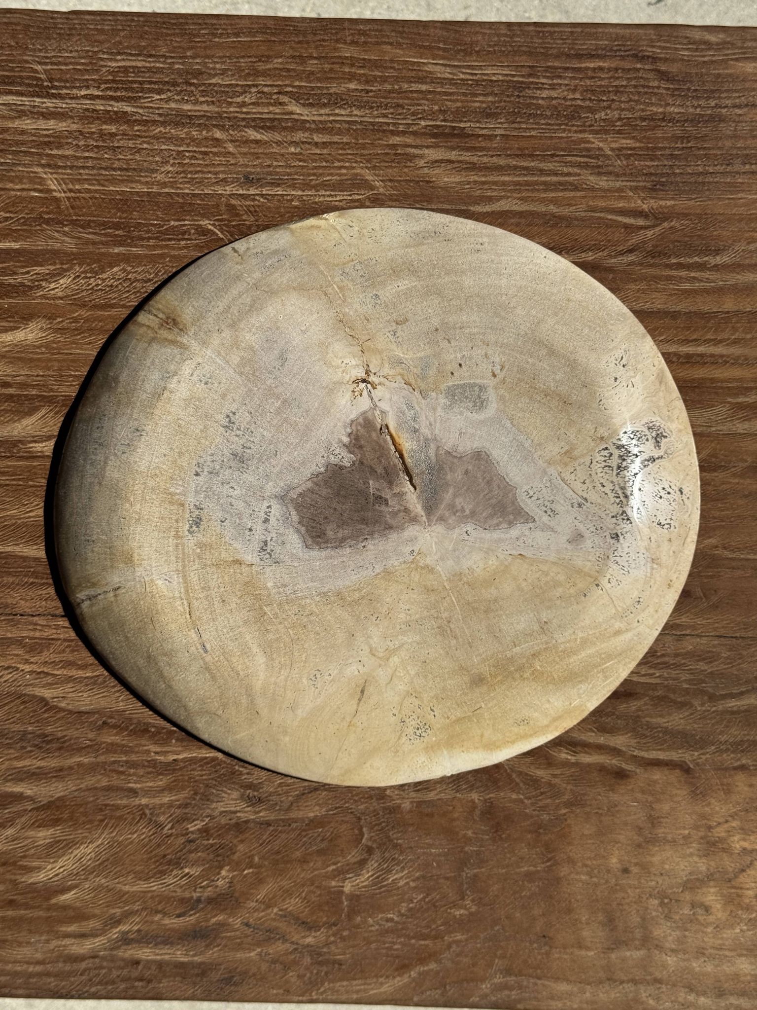 Petrified wood catchall or dish, beige with a brown spot in the centre, D24-27 -377.