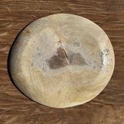 Petrified wood catchall or dish, beige with a brown spot in the centre, D24-27 -377.