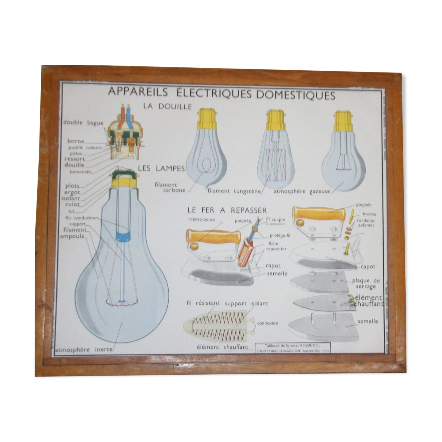 Old school poster science rossignol 19 and 20