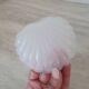 Scallop shell butter dish in stainless steel with its white glass saucer.