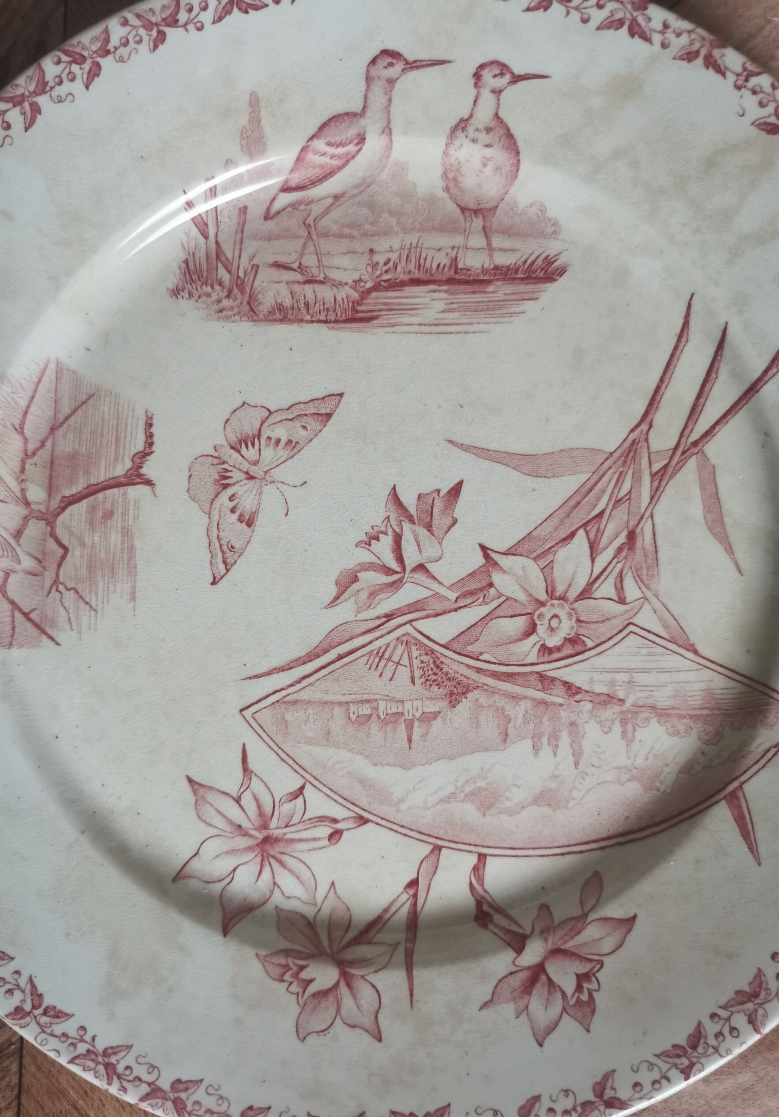 Old plates badonvillier Screen