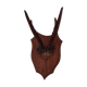 Hunting Trophy