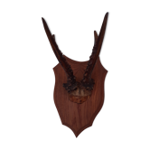 Hunting Trophy