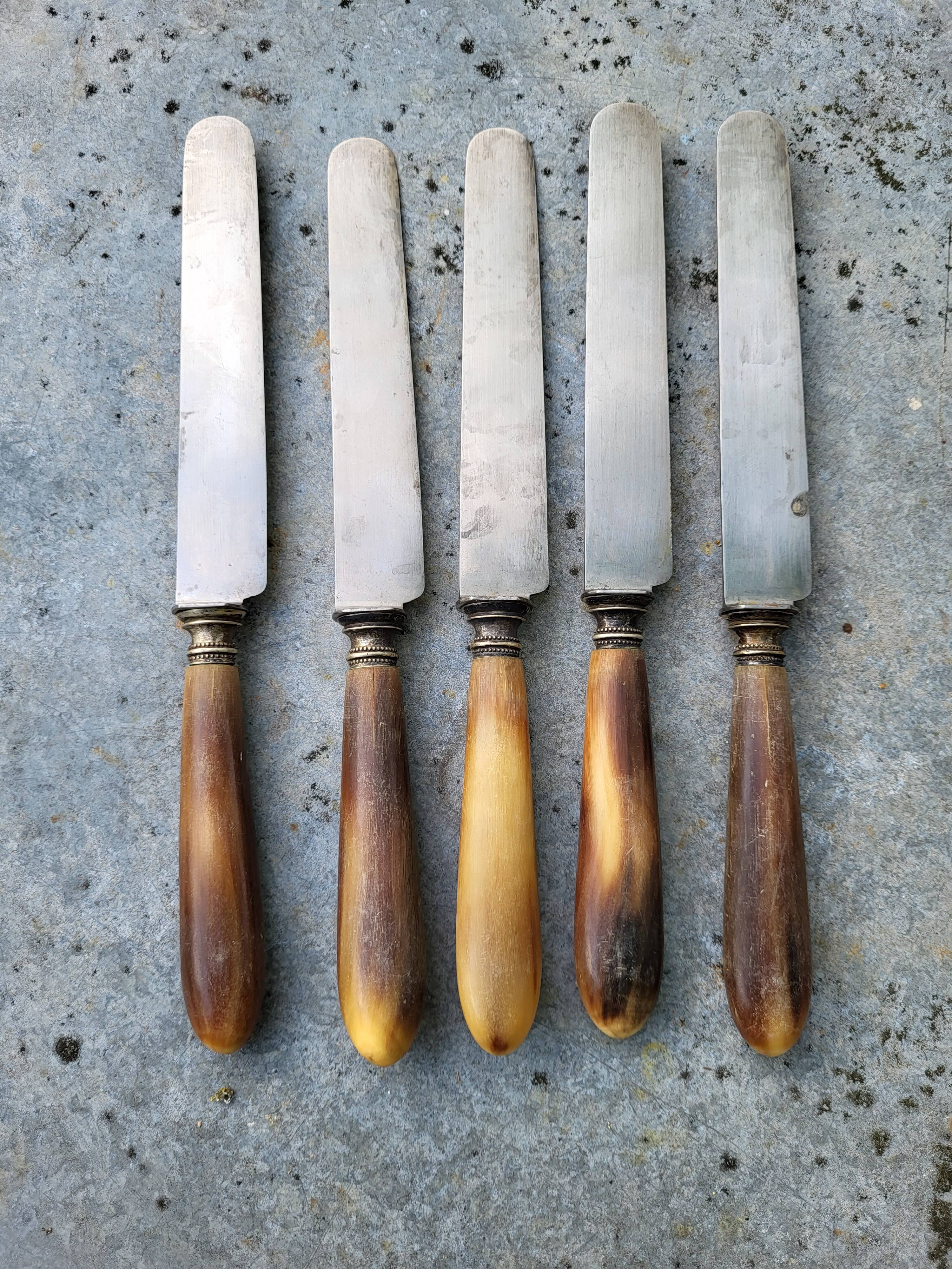 Series of 5 knives steel horn handle
