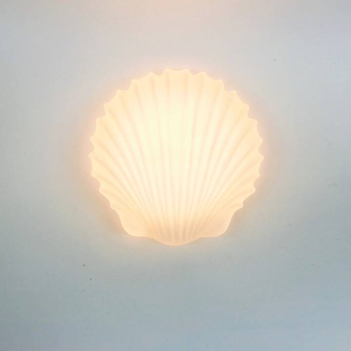 Large Minimalist Opaline Glass Shell Shaped Wall Light From Limburg, Germany, 1970s
