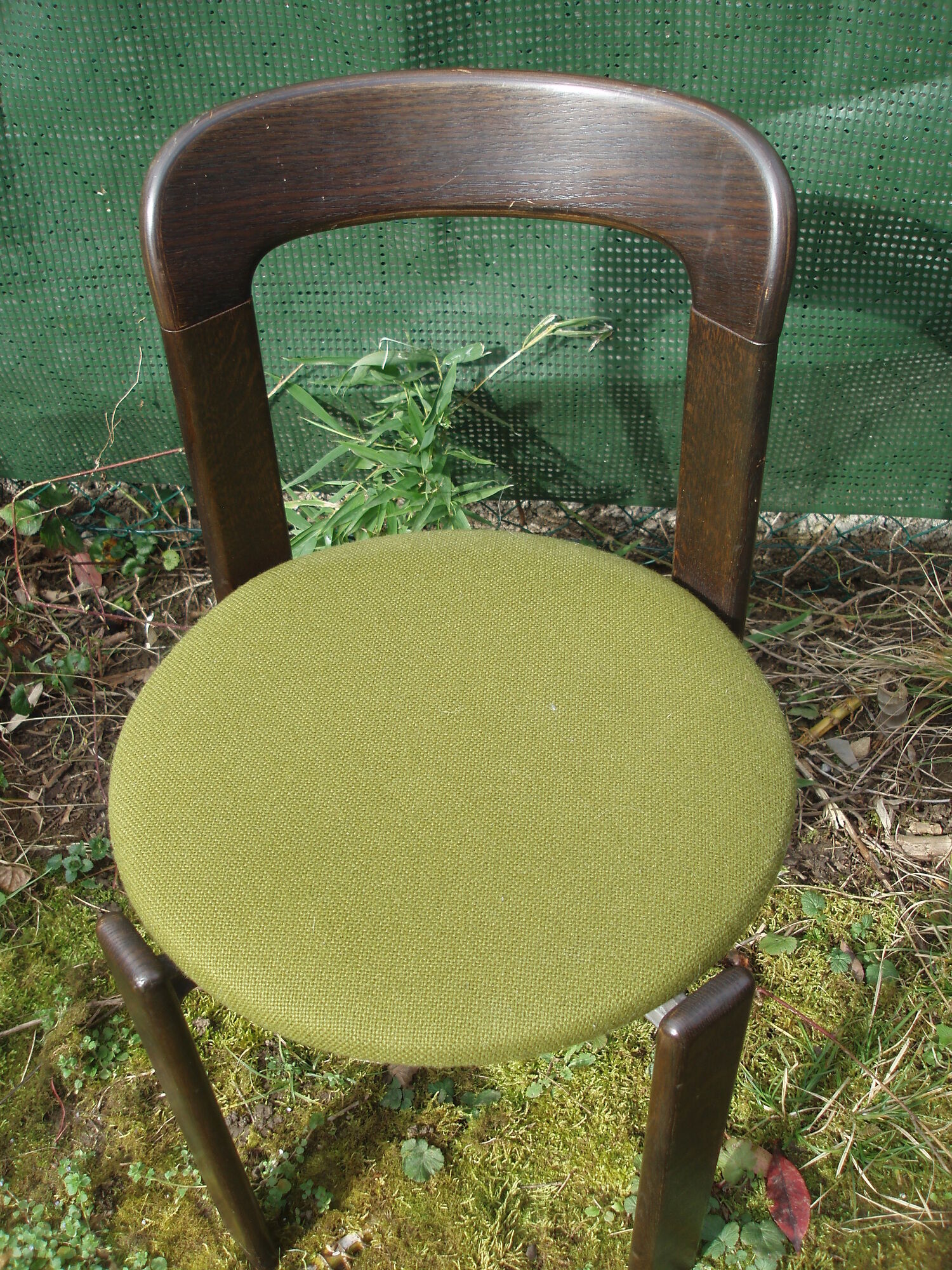 Pair of 70s chairs by designer Bruno Rey in wood and green fabric