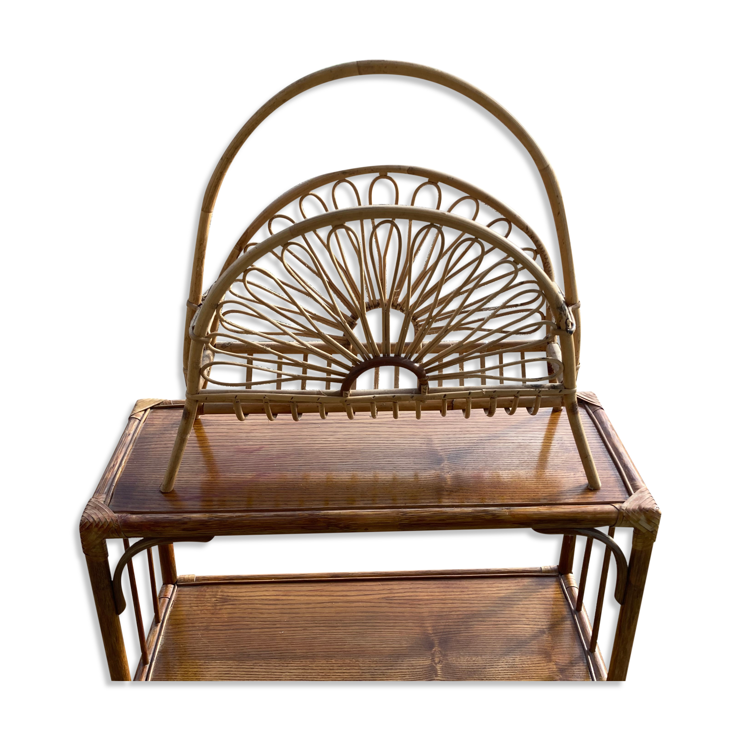 Rattan magazine door