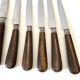 10 old wooden handle knives