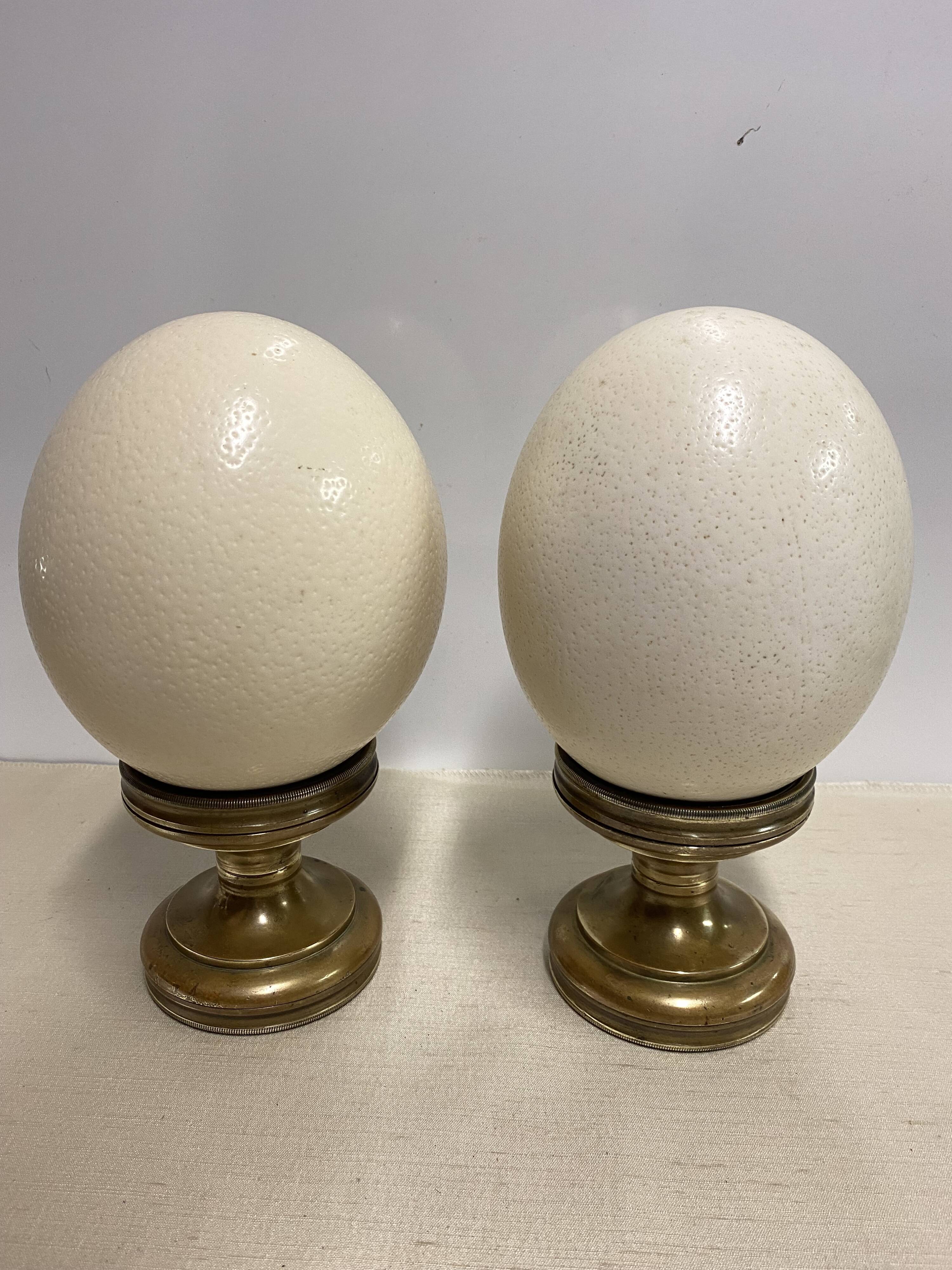 Pair of ostrich egg