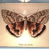 90s fabric butterfly suspension