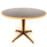 Scandinavian mahogany coffee table, Bodafors, Sweden,