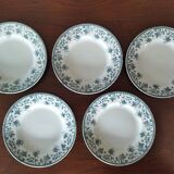 5 flat plates in St Amand "Jane" iron clay