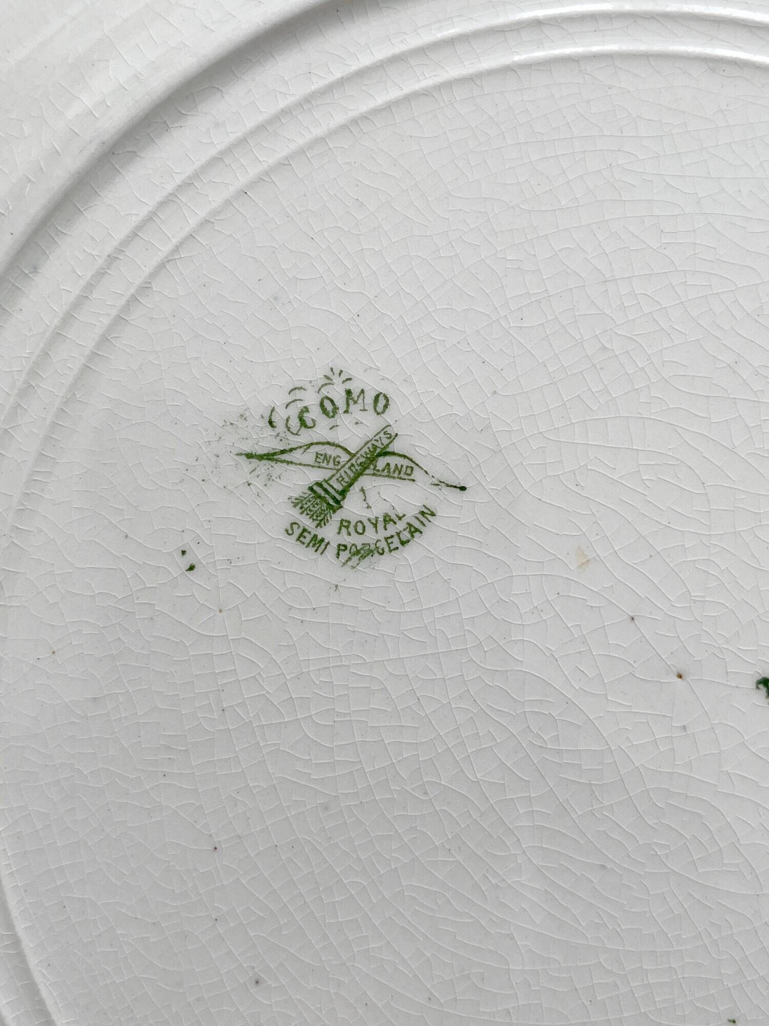 6 Ridgway Staffordshire "Como" English Ironstone Dinner Plates