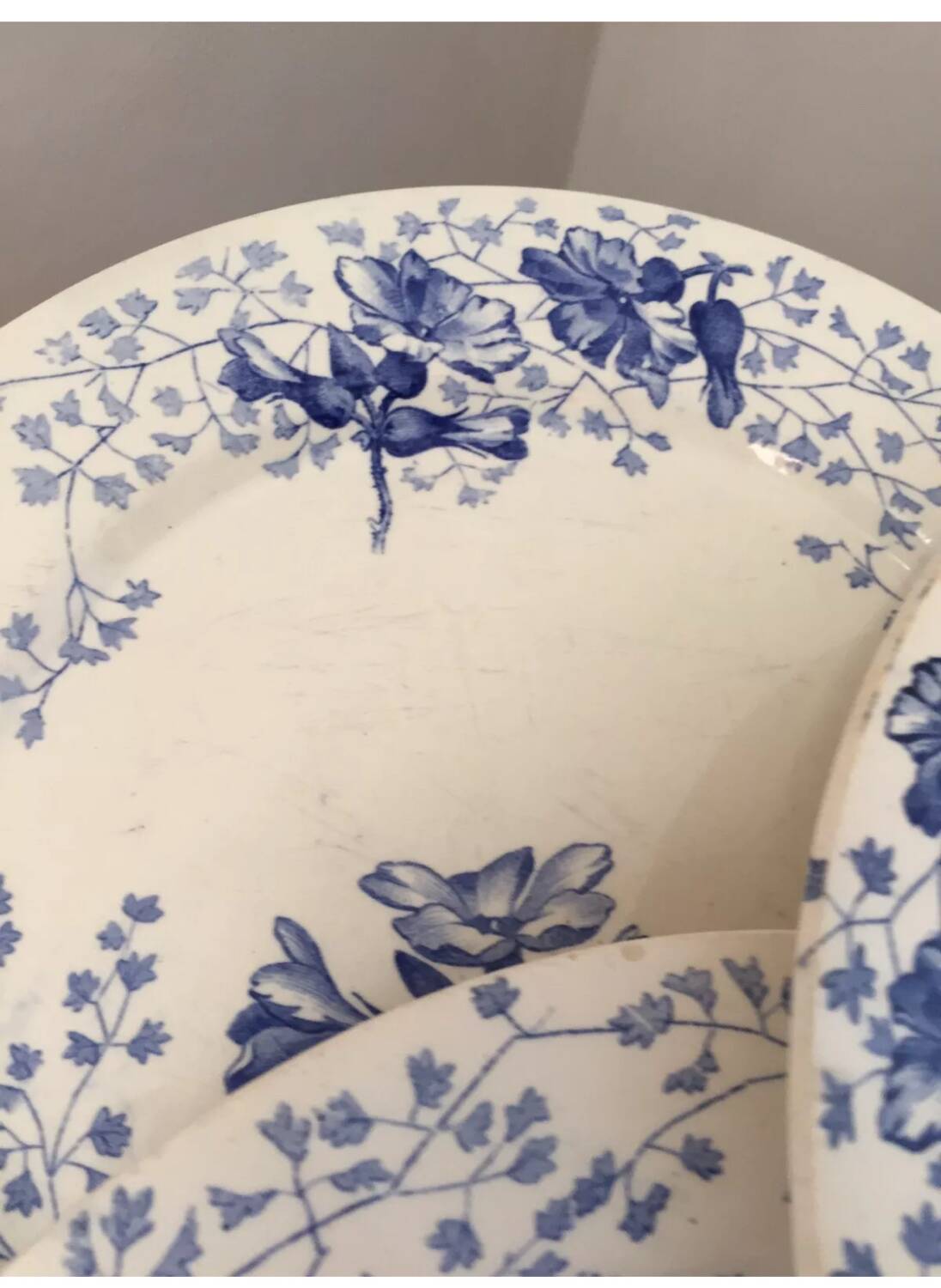 Assiette terre de fer Creil et Montereau décor primevère XIX