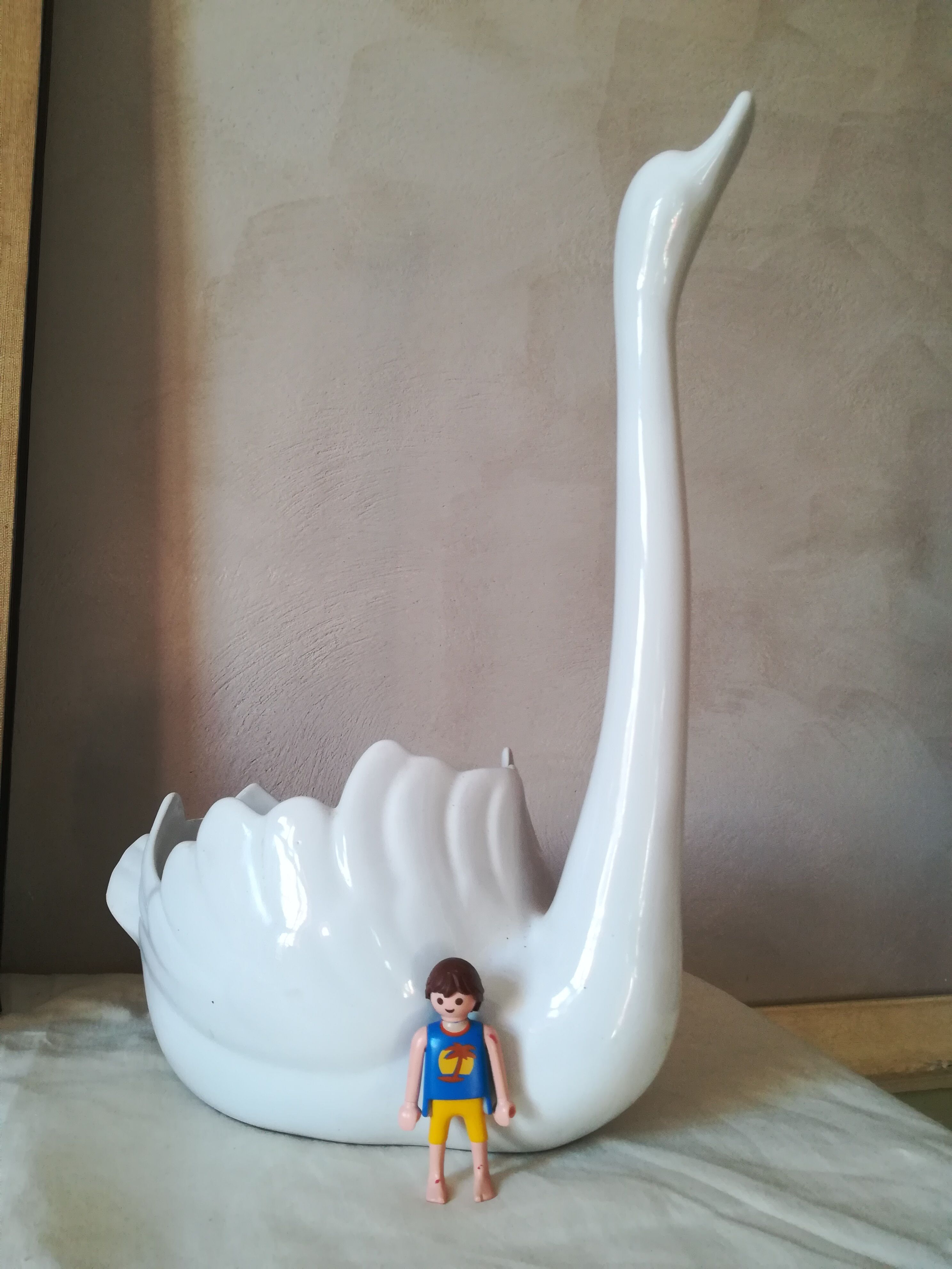 Empty swan pocket in earthenware