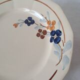 Set of 11 plates model 5041 Digoin Sarreguemines. Vintage ironstone