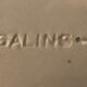Salins dish