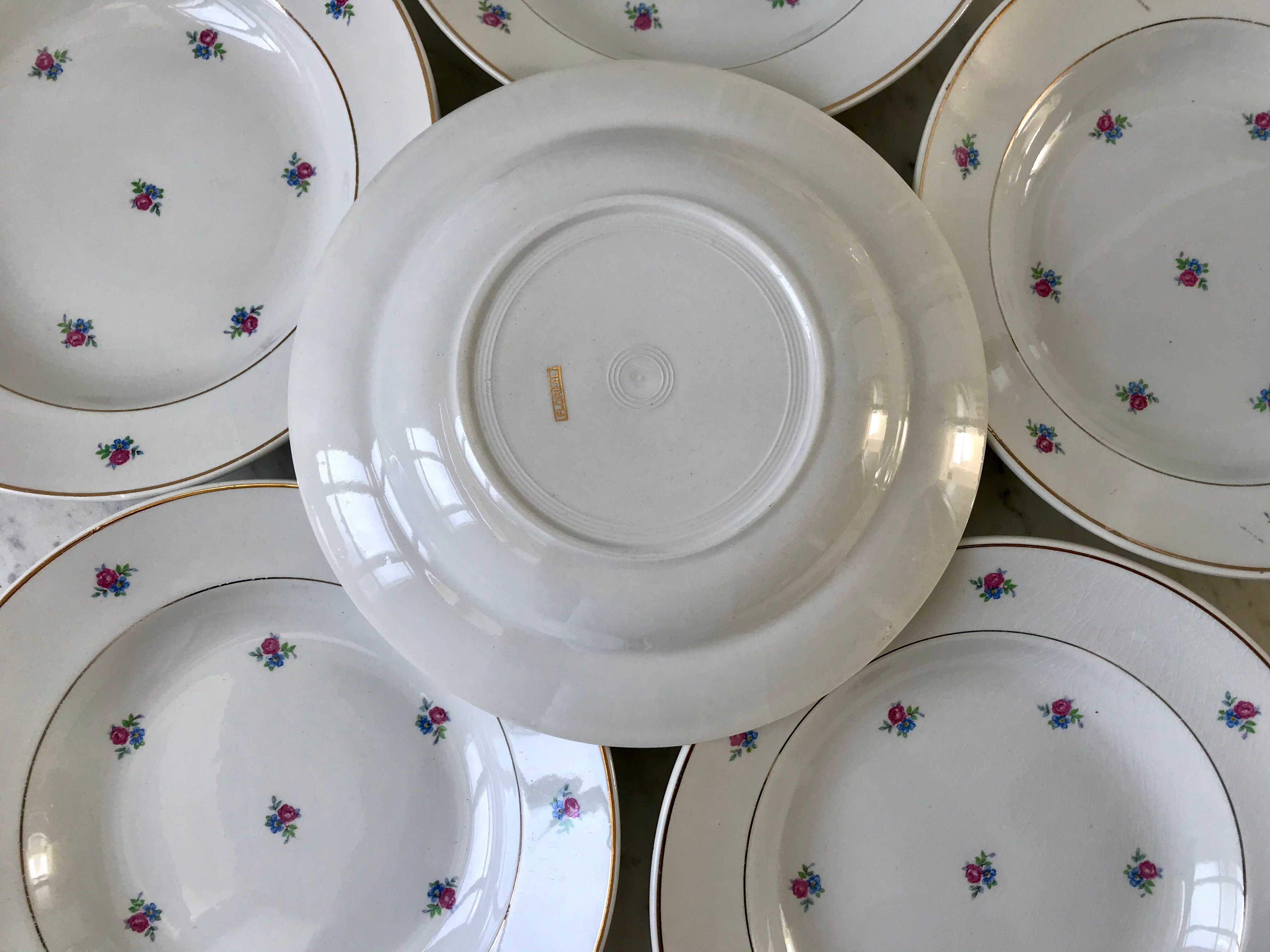 set of 6 hollow plates Digoin Sarreguemines model Floréal years 50-60