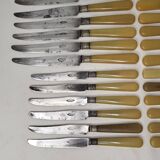 24 Art Deco Bakelite Handle Knives