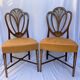 Series four English chairs Hepplewhite mahogany leather early twentieth century
