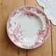 Red iron clay deep plate Saint Amandinoise iris model