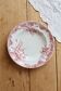 Red iron clay deep plate Saint Amandinoise iris model