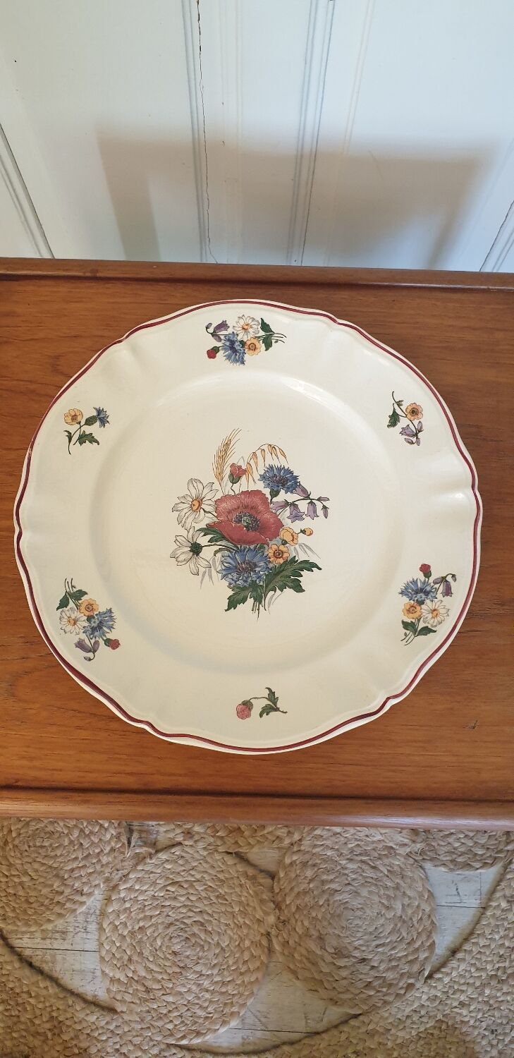 Dish Agreste Sarreguemines