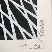Kinetic Art. Signed and framed lithograph by C. du PLESSIS.