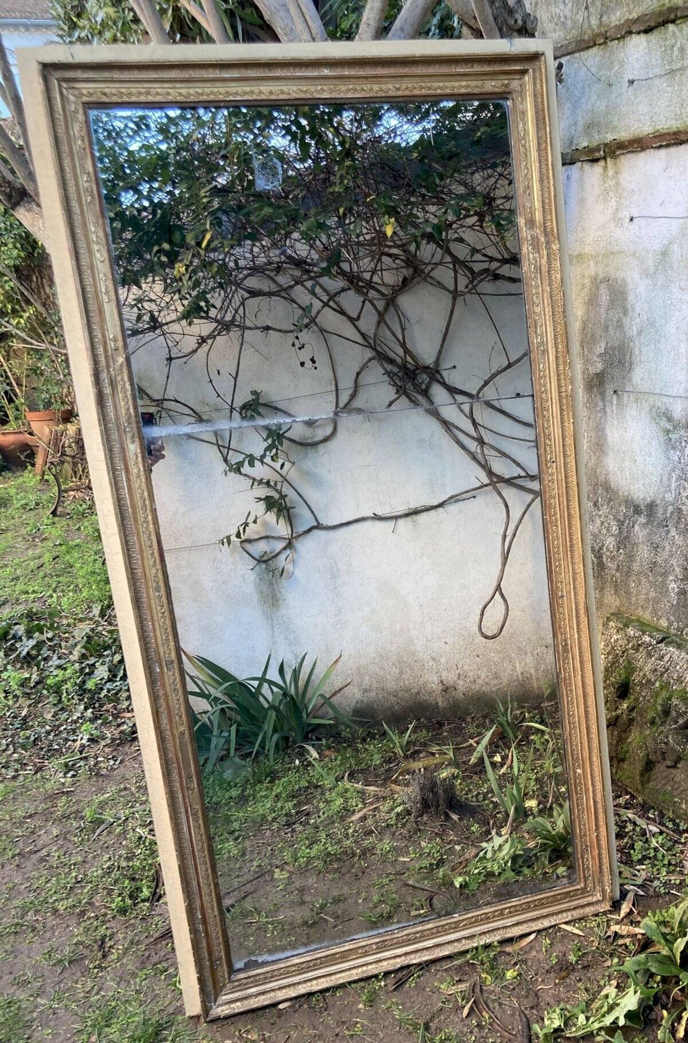 Antique overmantel mirror - decoration of palmettes and water leaves