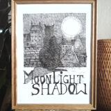 "Moonlight shadow" ink from China