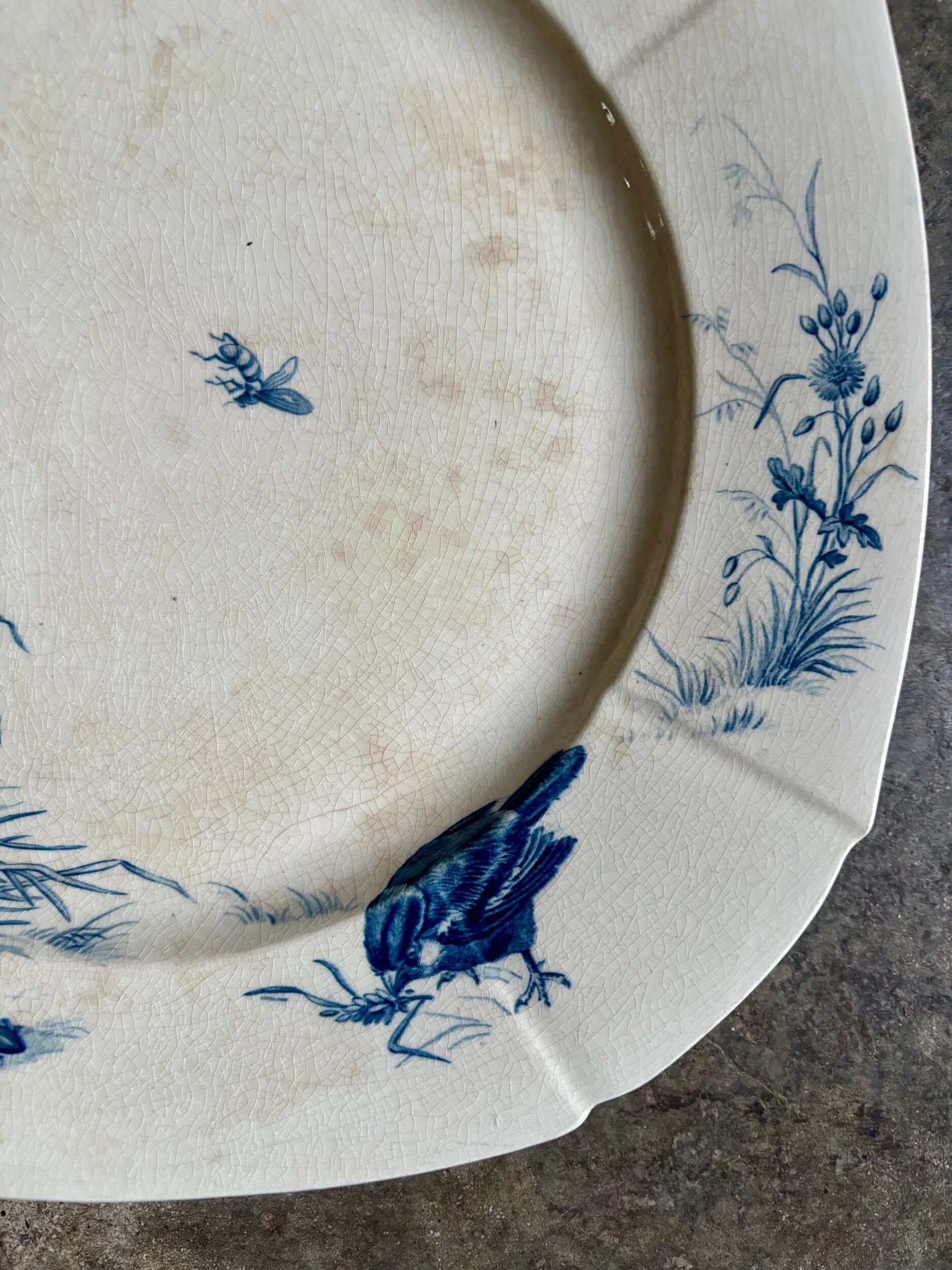 Square flat plate Gien in blue ironstone, service "Birds" around 1870.