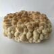Big Pacific Pink Coral