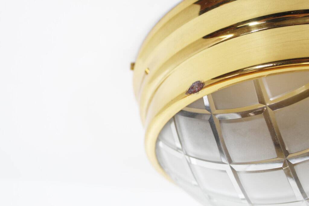 Pair of vintage brass ceiling lights with glass globe