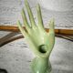 Hand baguier soliflore water green