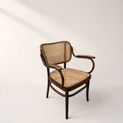 Fauteuil par Gustav Adolf Schneck pour Thonet
